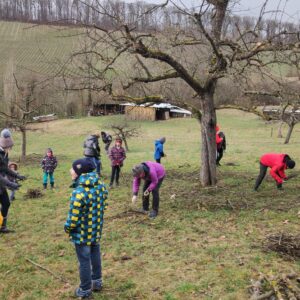 Nächste Rebensammel-Aktionen