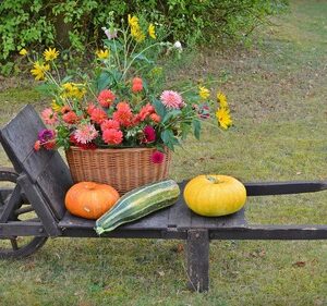 Erntedankfest der Obersulmer LandFrauen