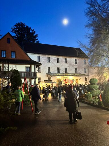 Hofweihnacht 2025 – wenn Lichterglanz auf Gemeinschaft trifft